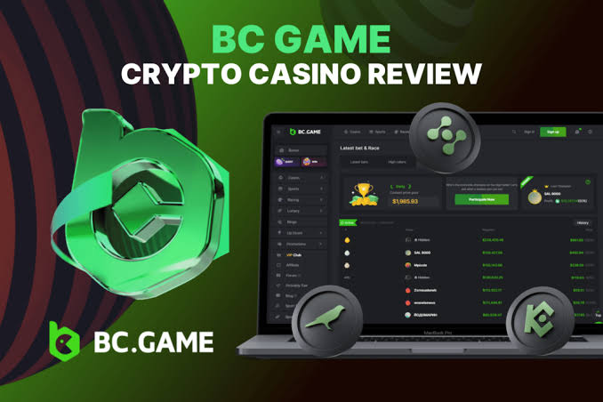 Step-by-Step Guide to BC.Game Argentina Login Process -337040088